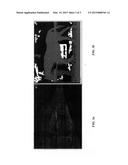 System for Detecting Lameness in Sport Horses and other Quadrupeds diagram and image