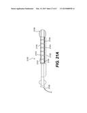 ENDOVASCULAR DEVICES AND METHODS FOR EXPLOITING INTRAMURAL SPACE diagram and image