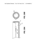 ENDOVASCULAR DEVICES AND METHODS FOR EXPLOITING INTRAMURAL SPACE diagram and image