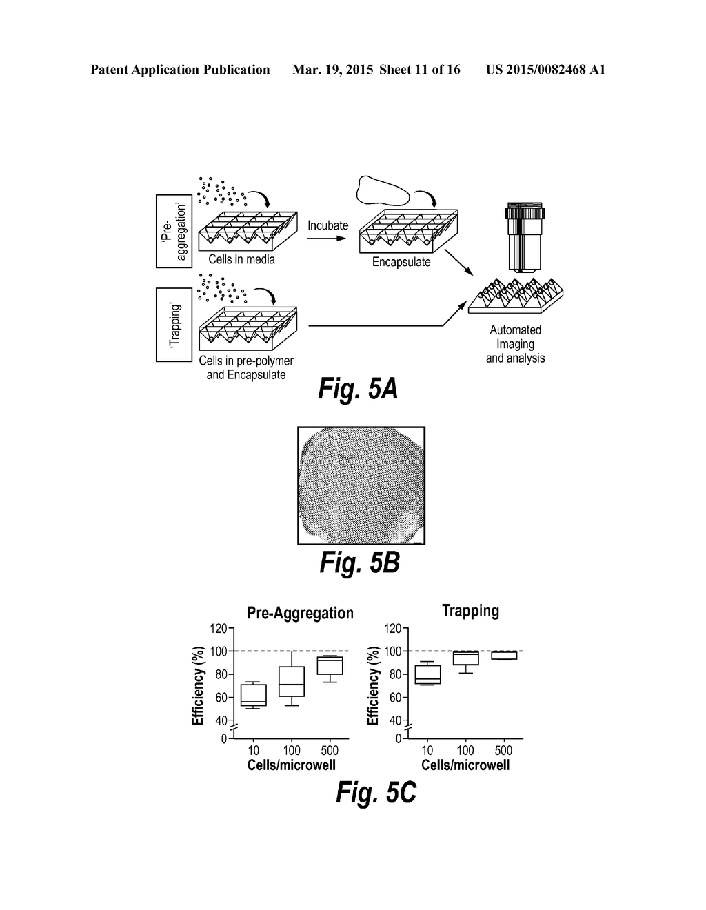 INVERSE PATTERNING PROCESS FOR THREE-DIMENSIONAL MULTI-COMPARTMENTAL     MICRO-ORGANIZATION OF MULTIPLE CELL TYPES - diagram, schematic, and image 12