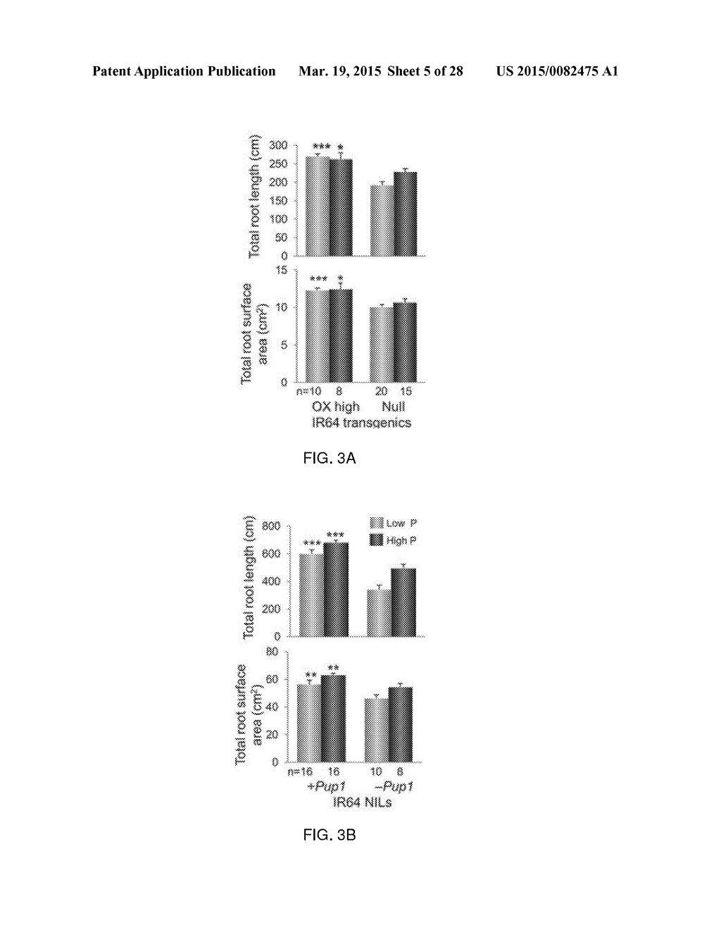 Root Growth, Nutrient Uptake, and Tolerance of Phosphorus Deficiency in     Plants and Related Materials and Methods - diagram, schematic, and image 06