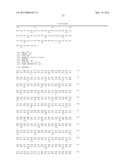 RNAi FOR THE CONTROL OF FUNGI AND OOMYCETES BY INHIBITING SACCHAROPINE     DEHYDROGENASE GENE diagram and image