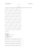 RNAi FOR THE CONTROL OF FUNGI AND OOMYCETES BY INHIBITING SACCHAROPINE     DEHYDROGENASE GENE diagram and image