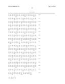 RNAi FOR THE CONTROL OF FUNGI AND OOMYCETES BY INHIBITING SACCHAROPINE     DEHYDROGENASE GENE diagram and image