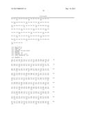 RNAi FOR THE CONTROL OF FUNGI AND OOMYCETES BY INHIBITING SACCHAROPINE     DEHYDROGENASE GENE diagram and image