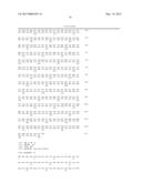 RNAi FOR THE CONTROL OF FUNGI AND OOMYCETES BY INHIBITING SACCHAROPINE     DEHYDROGENASE GENE diagram and image