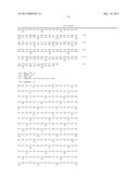 RNAi FOR THE CONTROL OF FUNGI AND OOMYCETES BY INHIBITING SACCHAROPINE     DEHYDROGENASE GENE diagram and image