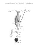 BARBLESS WEIGHTED RELEASABLE FISH DESCENDING HOOK diagram and image