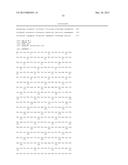 Methods and Compositions for the Recombinant Biosynthesis of Fatty Acids     and Esters diagram and image