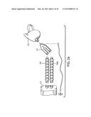 PORTABLE LIFE SUPPORT APPARATUS diagram and image