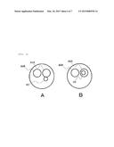 CHARGED PARTICLE MICROSCOPE diagram and image