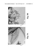 HIGH SURFACE AREA NANO-STRUCTURED GRAPHENE COMPOSITES AND CAPACITIVE     DEVICES INCORPORATING THE SAME diagram and image