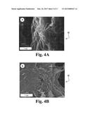 HIGH SURFACE AREA NANO-STRUCTURED GRAPHENE COMPOSITES AND CAPACITIVE     DEVICES INCORPORATING THE SAME diagram and image