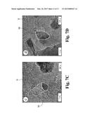 HIGH SURFACE AREA NANO-STRUCTURED GRAPHENE COMPOSITES AND CAPACITIVE     DEVICES INCORPORATING THE SAME diagram and image