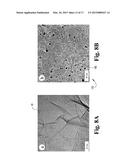 HIGH SURFACE AREA NANO-STRUCTURED GRAPHENE COMPOSITES AND CAPACITIVE     DEVICES INCORPORATING THE SAME diagram and image