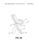 SYSTEMS AND METHODS FOR VISUALIZING ELONGATED STRUCTURES AND DETECTING     BRANCHES THEREIN diagram and image