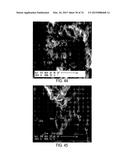 METHODS AND STRUCTURES FOR REDUCING CARBON OXIDES WITH NON FERROUS     CATALYSTS diagram and image