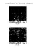 METHODS AND STRUCTURES FOR REDUCING CARBON OXIDES WITH NON FERROUS     CATALYSTS diagram and image