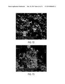 METHODS AND STRUCTURES FOR REDUCING CARBON OXIDES WITH NON FERROUS     CATALYSTS diagram and image