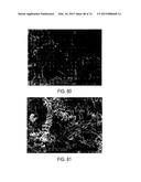 METHODS AND STRUCTURES FOR REDUCING CARBON OXIDES WITH NON FERROUS     CATALYSTS diagram and image