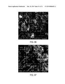 METHODS AND STRUCTURES FOR REDUCING CARBON OXIDES WITH NON FERROUS     CATALYSTS diagram and image