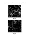 METHODS AND STRUCTURES FOR REDUCING CARBON OXIDES WITH NON FERROUS     CATALYSTS diagram and image