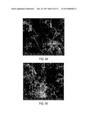 METHODS AND STRUCTURES FOR REDUCING CARBON OXIDES WITH NON FERROUS     CATALYSTS diagram and image