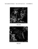 METHODS AND STRUCTURES FOR REDUCING CARBON OXIDES WITH NON FERROUS     CATALYSTS diagram and image