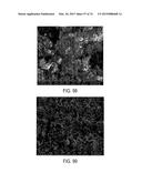 METHODS AND STRUCTURES FOR REDUCING CARBON OXIDES WITH NON FERROUS     CATALYSTS diagram and image