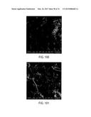 METHODS AND STRUCTURES FOR REDUCING CARBON OXIDES WITH NON FERROUS     CATALYSTS diagram and image