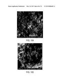 METHODS AND STRUCTURES FOR REDUCING CARBON OXIDES WITH NON FERROUS     CATALYSTS diagram and image