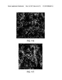 METHODS AND STRUCTURES FOR REDUCING CARBON OXIDES WITH NON FERROUS     CATALYSTS diagram and image