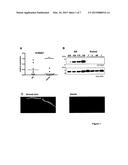 S100 FAMILY PROTEINS AND THEIR USES diagram and image