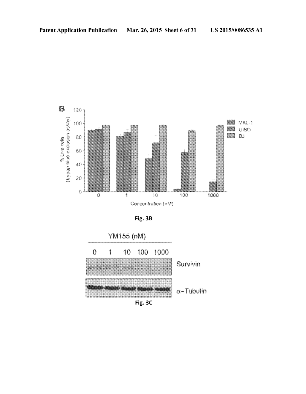 Use of Survivin Antagonists in Polyomavirus-Related Disease - diagram, schematic, and image 07