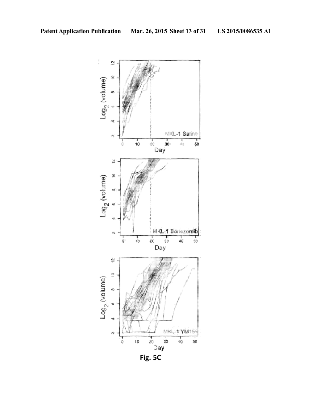 Use of Survivin Antagonists in Polyomavirus-Related Disease - diagram, schematic, and image 14