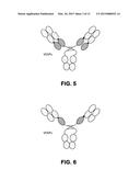 BISPECIFIC ANTIBODIES AND METHODS OF USING THE SAME diagram and image