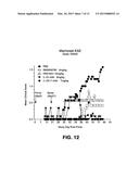 BISPECIFIC ANTIBODIES AND METHODS OF USING THE SAME diagram and image