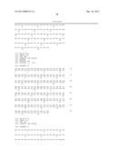 BISPECIFIC ANTIBODIES AND METHODS OF USING THE SAME diagram and image