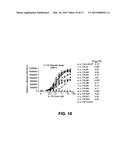 BISPECIFIC ANTIBODIES AND METHODS OF USING THE SAME diagram and image