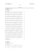 BISPECIFIC ANTIBODIES AND METHODS OF USING THE SAME diagram and image