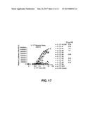 BISPECIFIC ANTIBODIES AND METHODS OF USING THE SAME diagram and image