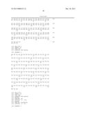 BISPECIFIC ANTIBODIES AND METHODS OF USING THE SAME diagram and image