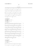 BISPECIFIC ANTIBODIES AND METHODS OF USING THE SAME diagram and image