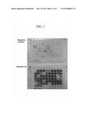 POLYPEPTIDE BINDING TO ANNEXIN A1 AND USE THEREOF diagram and image