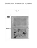 POLYPEPTIDE BINDING TO ANNEXIN A1 AND USE THEREOF diagram and image