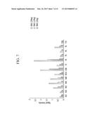 POLYPEPTIDE BINDING TO ANNEXIN A1 AND USE THEREOF diagram and image