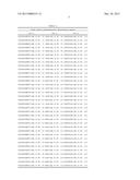 POLYPEPTIDE BINDING TO ANNEXIN A1 AND USE THEREOF diagram and image