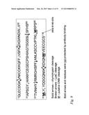 Anti-Activin A Antibodies and Uses Thereof diagram and image