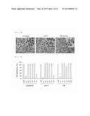 NOVEL INTEGRIN alpha9 beta1 LIGAND AND USES THEREOF diagram and image