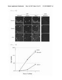 NOVEL INTEGRIN alpha9 beta1 LIGAND AND USES THEREOF diagram and image